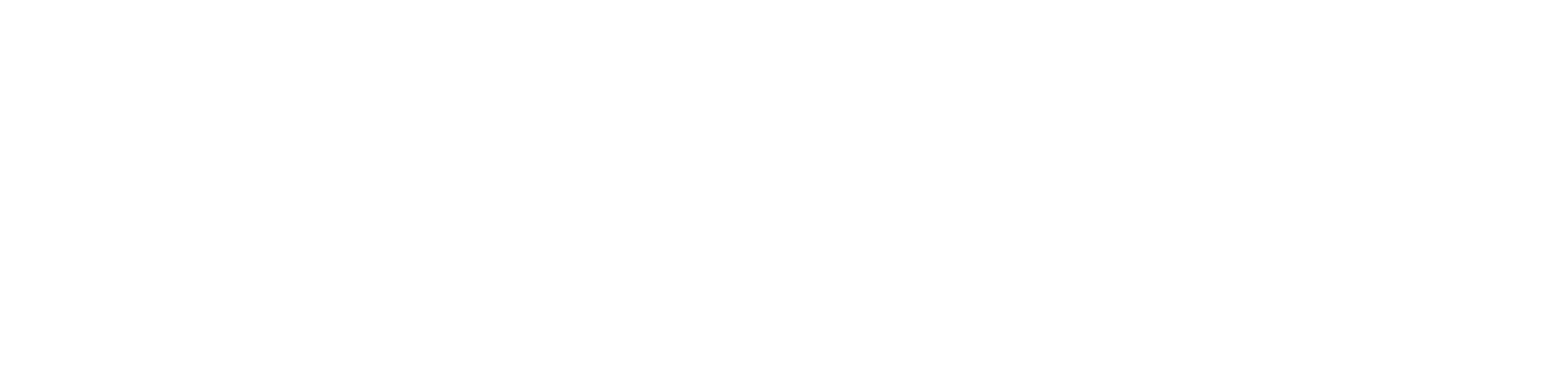 techfly.dk